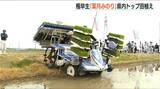 一足も二足も早く… 8月に収穫する『葉月みのり』の田植えはじまる 新潟県柏崎市|TBS NEWS DIG