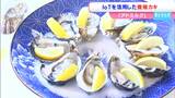インターネット技術を活用した「スマート養殖」の “カキ” 誕生 東かがわ市の新たなブランドに【香川】|TBS NEWS DIG