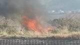 「河川敷が燃えている」笛吹市の河川敷で枯れ草火災 消火活動が続く | 山梨のニュース | UTYテレビ山梨