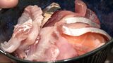 「いろんな魚を味わって」岡山県庁地下の食堂で「海鮮丼バイキング」10種類ほどのネタが載せ放題|TBS NEWS DIG