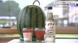 まさに今が旬!おいしい滝沢スイカと色合いが美しいスイカスイーツで涼んでみませんか?|TBS NEWS DIG