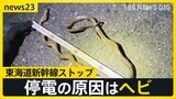 GW期間中の東海道新幹線がストップ最大96分の遅れ6万7000人に影響　停電の原因は「体長約100センチのヘビ」実は過去にも…【news23】|TBS NEWS DIG