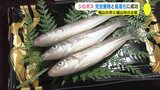 ふっくらとした食感　全国初　シロギスの完全養殖と量産化に成功　「びんごの姫」として初出荷へ　|　RCC NEWS | 広島ニュース | RCC中国放送