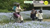 みどりの日　広島市植物公園　無料開放で行列　植物を親しむきっかけにして　|　RCC NEWS | 広島ニュース | RCC中国放送