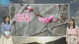 5日（木）は桜が咲く頃の暖かさ　一方で週末は気温急降下　真冬の寒さ・雪への備えを　|　長崎のニュース | 天気 | NBC長崎放送