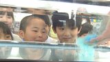 園児が入浴剤のバスボム作りに挑戦 楽しみながら科学を学ぶ 大分 | 大分のニュース|OBS NEWS|大分放送