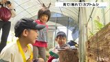 松山市野外活動センターでカブトムシと触れ合うイベント 愛媛 | 愛媛のニュース - Nスタえひめ|あいテレビは6チャンネル