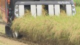 “山梨の米どころ”北杜市で稲刈り始まる 5月からの平均気温上昇で例年よりも1週間ほど早く収穫 | 山梨のニュース | UTYテレビ山梨