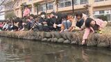 「ホタルが舞い、アヤメを咲かせたい」小学校の中を流れる川を児童がきれいに 大分 | 大分のニュース|OBS NEWS|大分放送