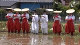 340年の歴史 独特な所作で豊作祈る 森町 小國神社の御田植祭(静岡県) | 静岡のニュース | SBSNEWS | 静岡放送