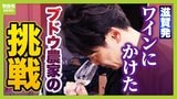 ワイン造りに情熱捧げる滋賀のブドウ農家 目指すは地元食材を生かした料理と一緒に楽しむワイン いずれは世界へ...初めて挑んだ醸造のゆくえは?|TBS NEWS DIG