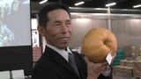 ｢世界一重い｣梨のコンテスト 優勝した約3キロの梨は50万円で落札　甘い果肉が特徴の｢愛宕（あたご）｣　|　名古屋・愛知・岐阜・三重のニュース【CBC news】 | CBC web
