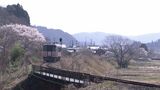 【サクラだより】JR芸備線 静かな山里をひっそり走る列車と「咲き誇るサクラ」いま満開の時|TBS NEWS DIG