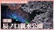 桜と花火の共演【JNN sakuraドローンDIG 2026】|TBS NEWS DIG