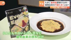 カゴメが“代替卵”の新商品を発表　卵が「最高値」更新する中で| TBS CROSS DIG with Bloomberg