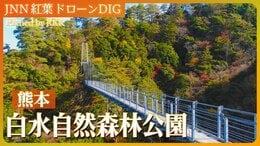 スリルと紅葉を楽しめるスポット【JNN 紅葉ドローンDIG 2023】|TBS NEWS DIG