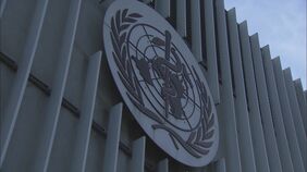 コンゴ民主共和国で原因不明の集団感染　53人が死亡　WHOが調査|TBS NEWS DIG