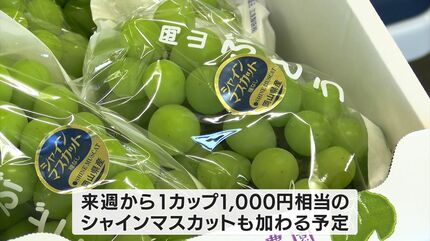 シャインマスカット 2本セット 1000円引き‼️ ブドウがゲットできるクレーンゲーム「ブドウキャッチャー」登場 旬の