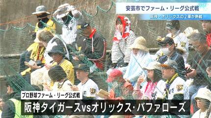約185点 阪神タイガース オリックスバファローズ まとめ売り 大量 プロ野球 2026ファーム・リーグ公式戦「阪神タイガースVSオリックス