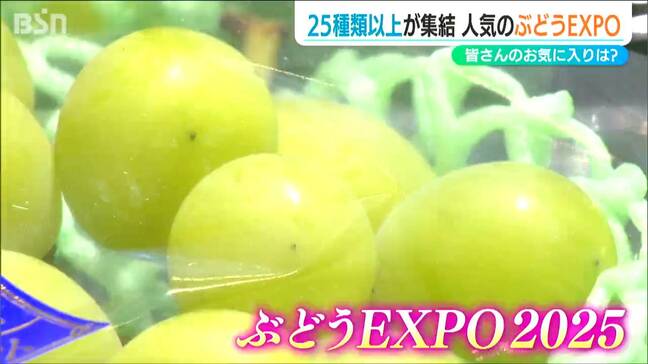 シャインマスカットに巨峰 “超レア品種”富士の輝き…『ぶどうEXPO』開催　あなたのお気に入りは？ 新潟・三条市|TBS NEWS DIG