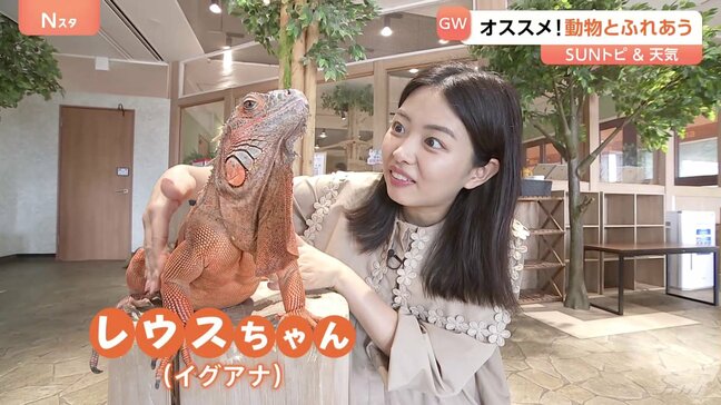 日本初の“昼夜交代制” 東京・お台場の「動物たちが暮らす森」とは？【SUNトピ】|TBS NEWS DIG