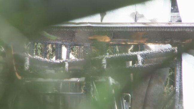 1階の電気配線付近が火元か　木造2階建ての納屋など4棟を焼く火事　富山・入善町|TBS NEWS DIG