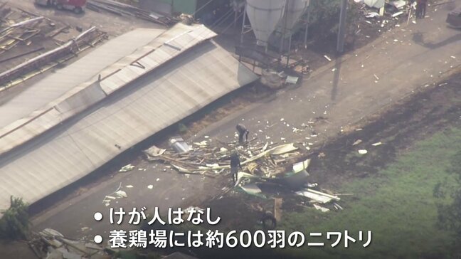 埼玉・坂戸市で突風被害か　ニワトリが約600羽いた養鶏場の屋根や複数の電柱が倒れる　約770軒が一時停電|TBS NEWS DIG
