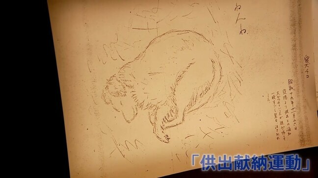 「毛皮をお國に」愛犬を差し出した少女 抗えない同調圧力、戦争に利用された「物言わぬ」動物たち #きおくをつなごう #戦争の記憶|TBS NEWS DIG