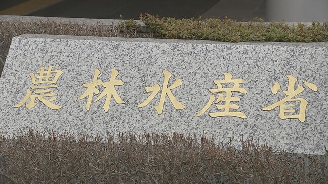 輸入小麦の売り渡し価格 来月から12％引き上げ 過去5番目の高水準に　中東情勢や円安も影響　農水省|TBS NEWS DIG