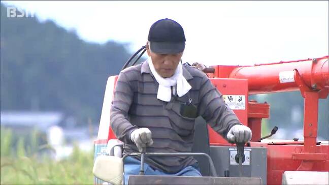 「今年の出来は順調」コメ農家も心配する台風10号の行方「一日も早く消費者の皆さんに…」初検査の全量が一等米「みかけたらすぐに味わって」新潟県|TBS NEWS DIG