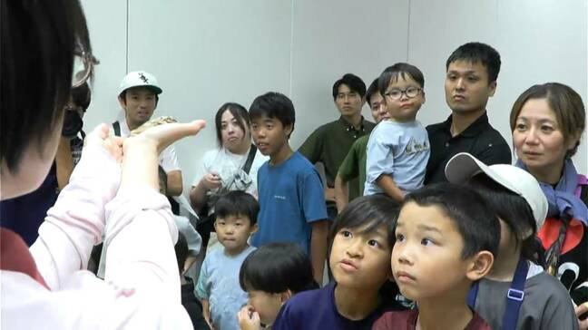 特定外来生物シロアゴガエルの侵入防げ　奄美大島の在来種との違いを学ぶ　『コールバック』反応せず|TBS NEWS DIG