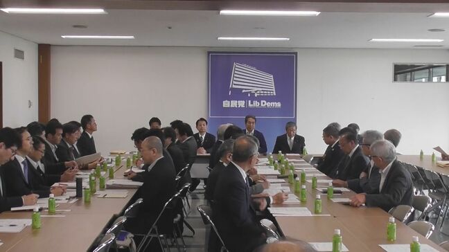 日本と南米5か国加盟の関税同盟「メルコスール」との経済連携協定=EPA交渉めぐり自民党が聞き取り 国内の関係団体や経済界から|TBS NEWS DIG