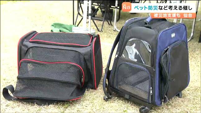 一緒に避難するためのキャリーバッグも　ペットがいる世帯の“災害対策”テーマにイベント　仙台|TBS NEWS DIG