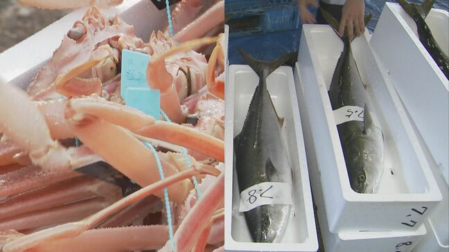 冬の日本海代表する味覚に明暗！ズワイガニ豊漁も寒ブリは不漁続き|TBS NEWS DIG