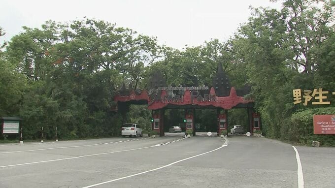 来園客の目の前で…タイ人気の動物園で飼育員がライオンに襲われ死亡