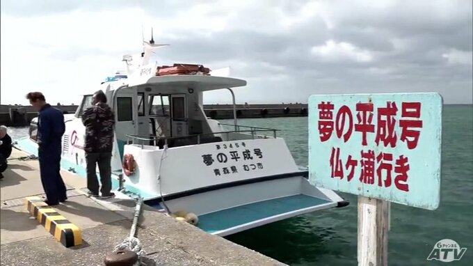 約9割の確率でイルカに遭遇できる！　観光遊覧船「夢の平成号」今シーズンの運航開始！　10月14日まで運航予定　|　青森のニュース│ATV NEWS│青森テレビ