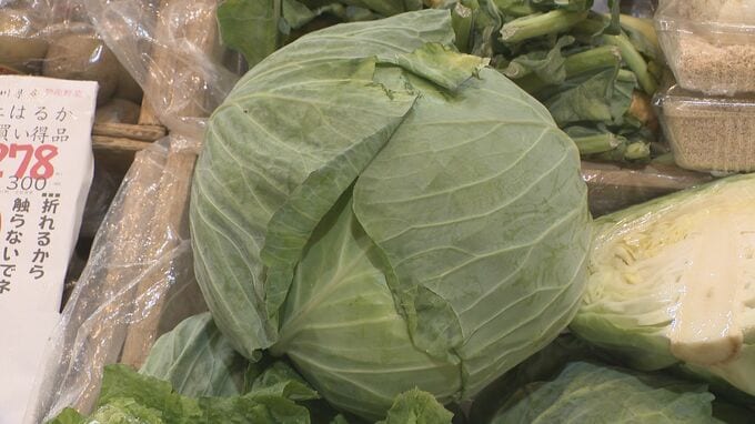 キャベツ300円「サラダが店で出せない」 長雨で葉物野菜が高騰する中“去年の半額”のお買い得食材|TBS NEWS DIG