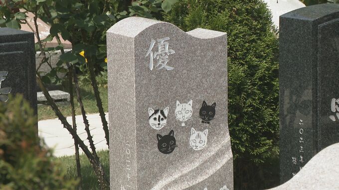 「あの世でも愛犬や愛猫と一緒に」 金沢の寺に家族とペットの共葬墓が整備　|　石川県のニュース｜MRO北陸放送