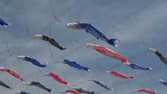 こいのぼり200匹が川面を彩る　嘉手納町比謝川|TBS NEWS DIG