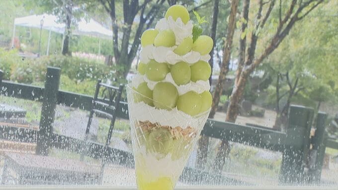 「フルーツ王国の名物をぜひ食べて」シャインマスカットを1房使ったパフェが人気　山梨・ハーブ庭園旅日記勝沼庭園|TBS NEWS DIG