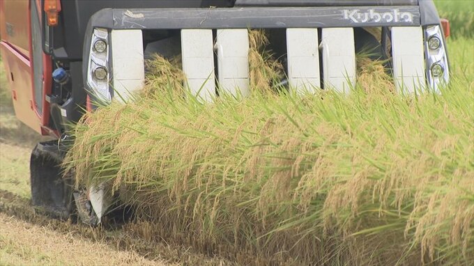 “山梨の米どころ”北杜市で稲刈り始まる　5月からの平均気温上昇で例年よりも1週間ほど早く収穫　|　山梨のニュース | ＵＴＹテレビ山梨