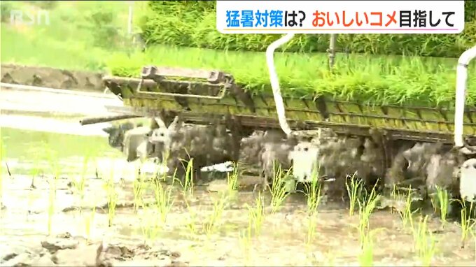 「猛暑で去年の一等米比率は過去最低 今年こそリベンジへ…」少雪による水不足が懸念される中 南魚沼で田植え始まる|TBS NEWS DIG