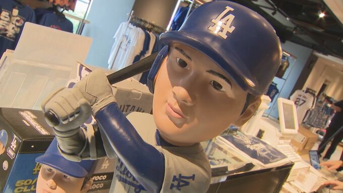 ボール5球で総額3000万円！大谷翔平選手など日本人メジャーリーガーのレアグッズが鳥取に大集合|TBS NEWS DIG