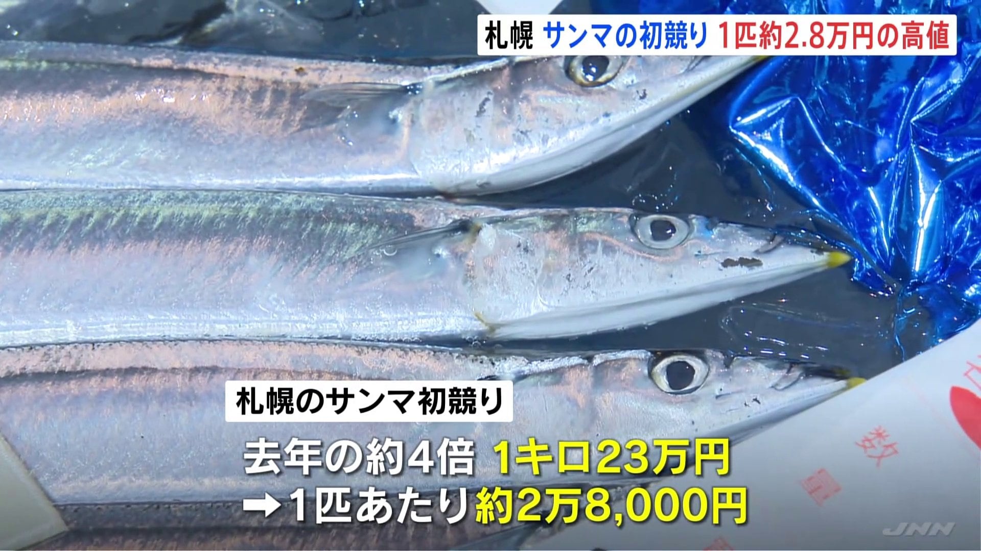 庶民の魚が“高級魚”に…サンマ初競り 1匹約2.8万円の高値も | TBS NEWS DIG