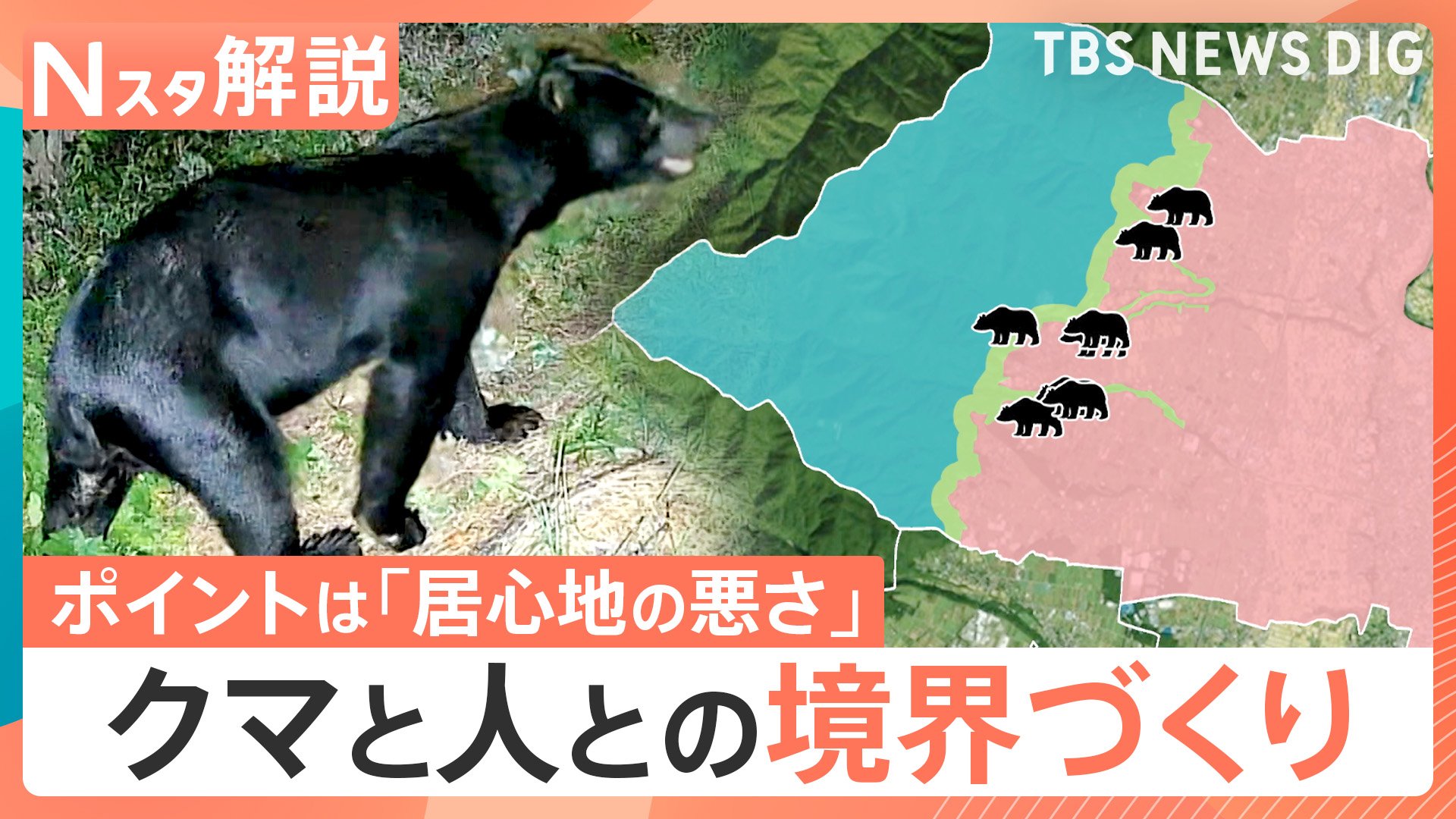 クマはどこからやってくる？目撃情報に見る「川沿い」の危険性 “クマと