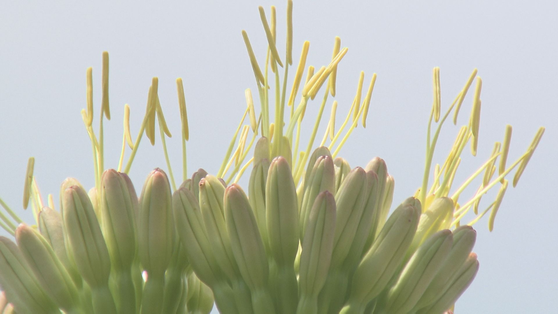 img_ccfe8360656d1a0a3dcab0e265