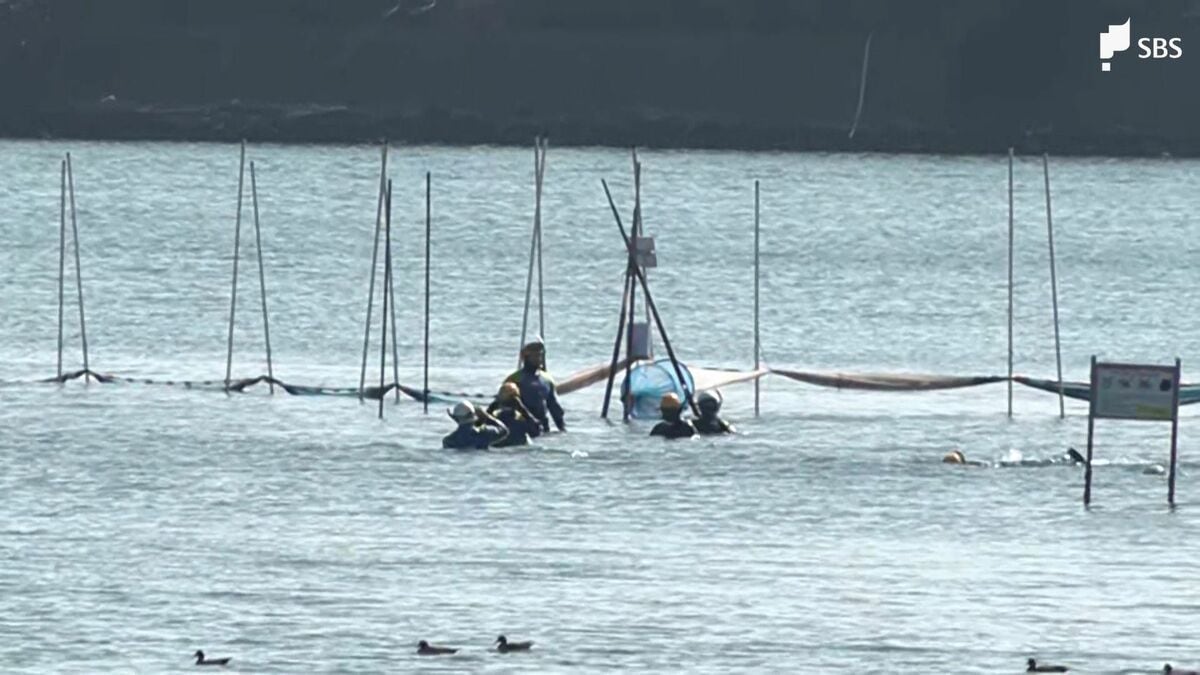 中心的役割を果たし非常に悪質」で刑事処分相当 浜名湖殺人で18歳男を