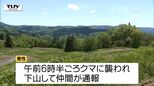 襲われた男性は頬の骨を折るなどの大ケガ　朝日町で70歳男性がクマに襲われる　穴から出てきたクマに襲われたか　男性は山菜採りで山に入る（山形）　|TBS NEWS DIG
