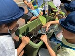 「大きく育ってね!」交通事故で亡くなった4歳男児の思いを受け継ぐ『ひまわりの絆プロジェクト』 大阪 |TBS NEWS DIG