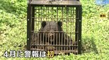 自衛隊員や警察官もクマに襲われ…春グマが異例の早さで出没！青森も岩手も…東北各地でクマ出没警報が過去最速で発表|TBS NEWS DIG